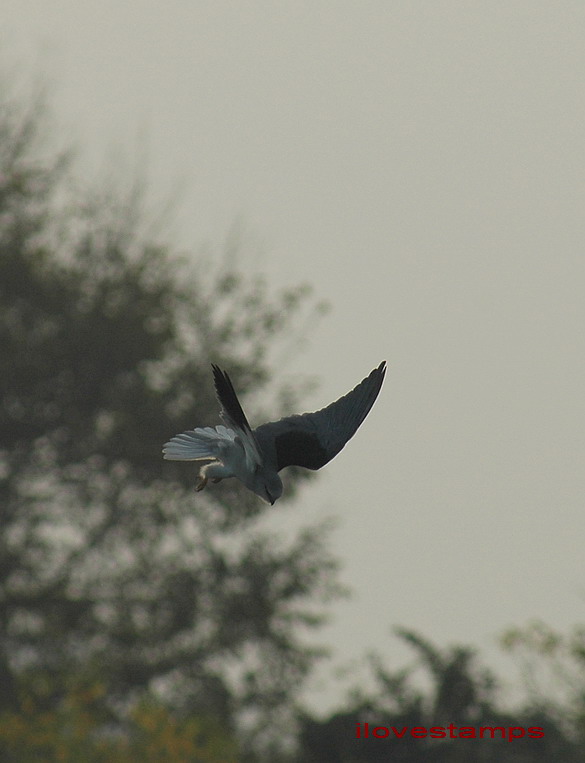 DSC_0153.jpg