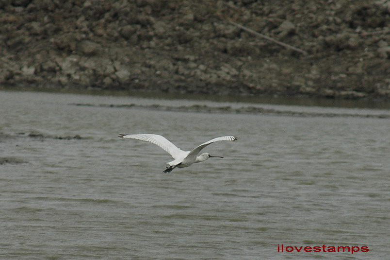 DSC_0106.jpg