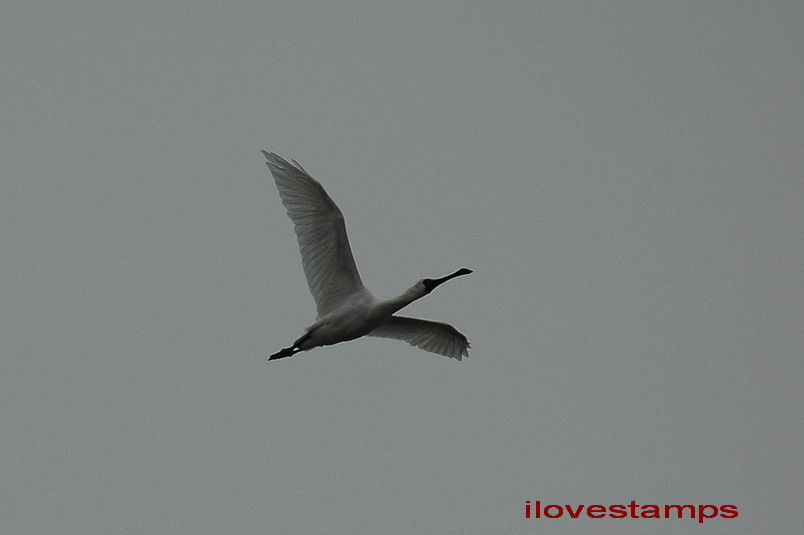 DSC_0157.jpg