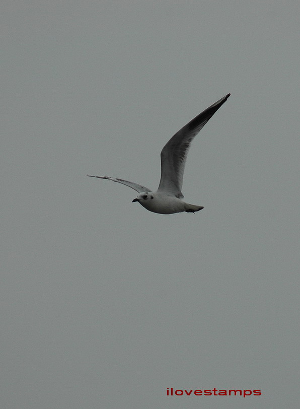 DSC_0212.jpg