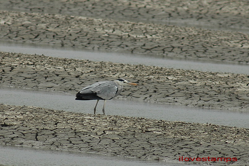 DSC_0084.jpg