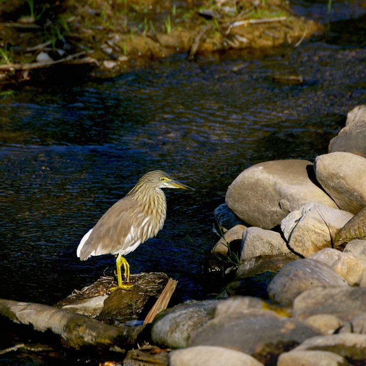 IMGP0149-1x.jpg