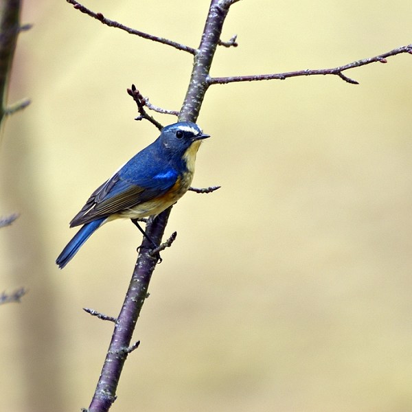 IMGP1200-1x.jpg