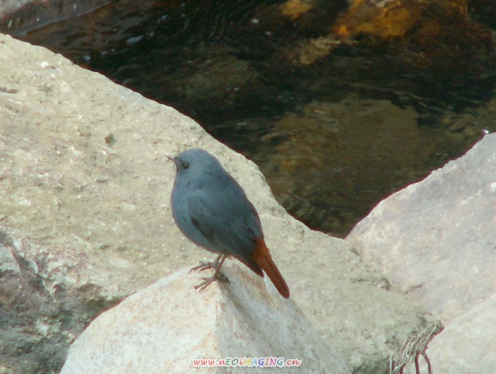 PICT9882.JPG