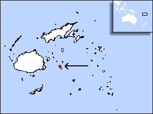 Fiji Petrel(rare)05.gif