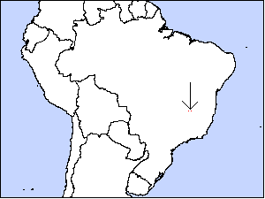 Minas Gerais Tyrannuletrare03.gif