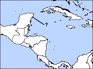 Cozumel Thrasherrare04.gif