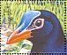 Gallinula silvestrisrare02.jpg