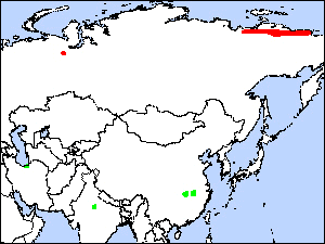 Ǻ Siberian Cranerare08.gif