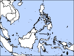 Sangihe Shrike-thrushrare02.gif