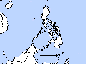 Sangihe White-eyerare02.gif