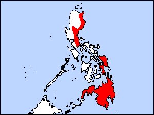Philippine Eaglerare08.gif