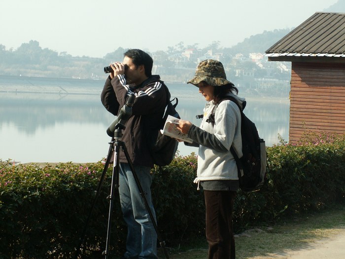 PICT0037.JPG