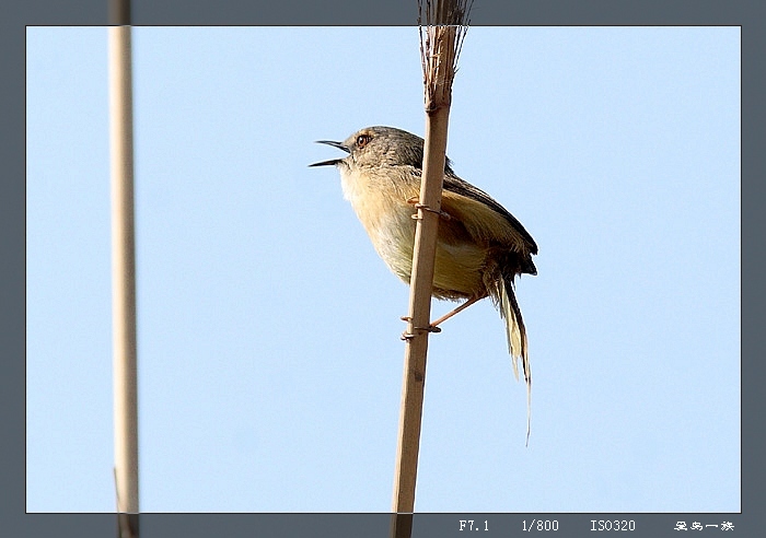 ƸݺIMG_1288.JPG