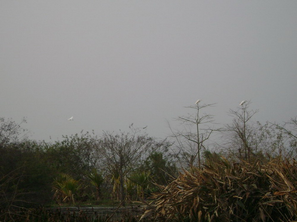 DSC01629.jpg