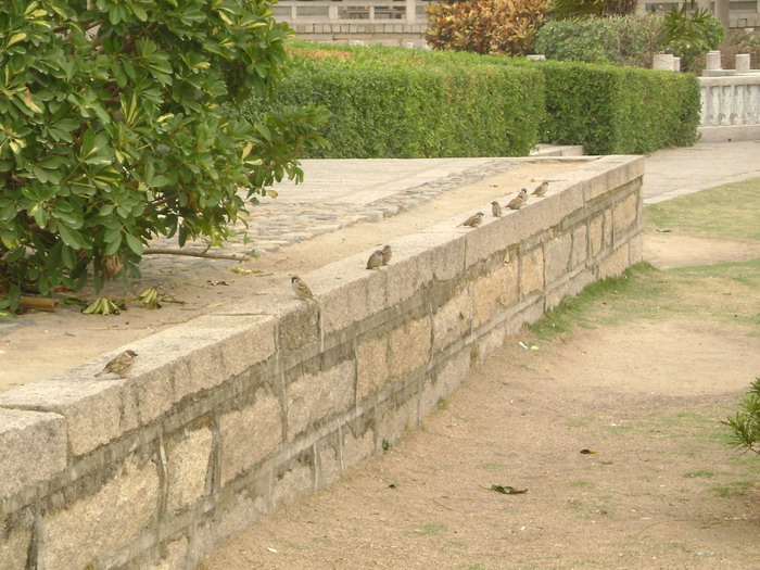 DSC01452.jpg