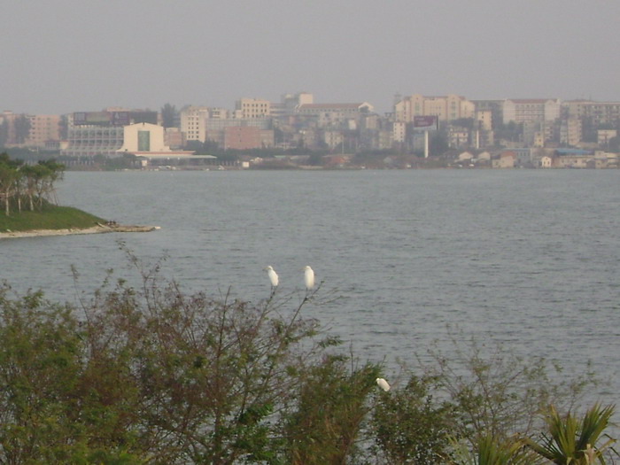 DSC01626.jpg