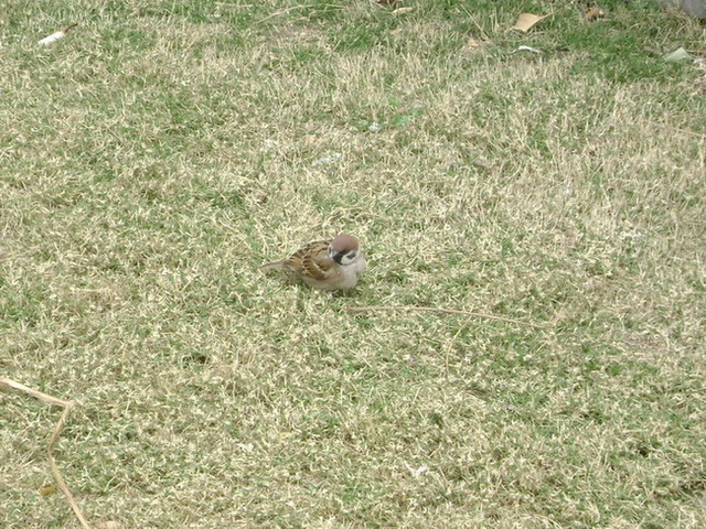 DSC01458.jpg