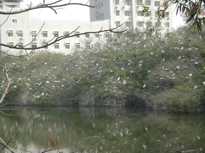 DSC01680.jpg