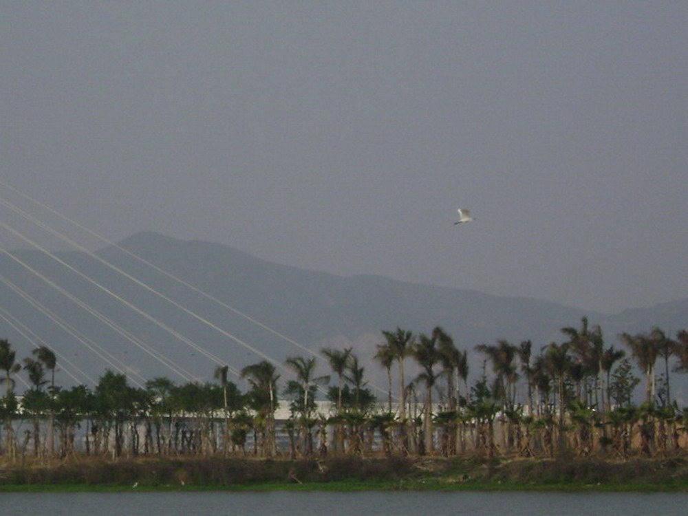 DSC01586.jpg