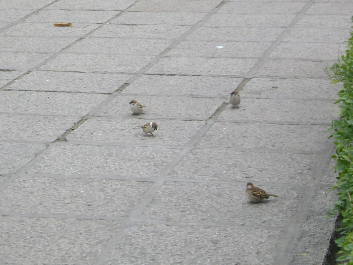 DSC01469.jpg