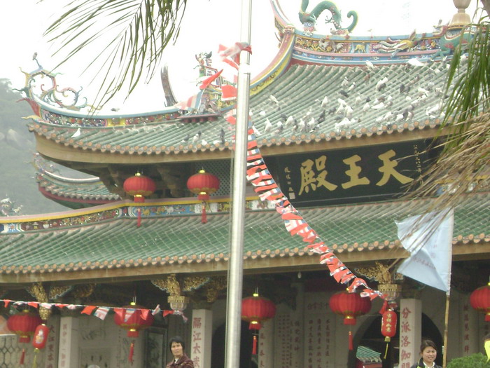 DSC01462.jpg