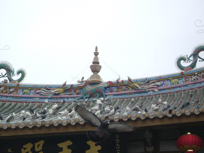 DSC01476.jpg