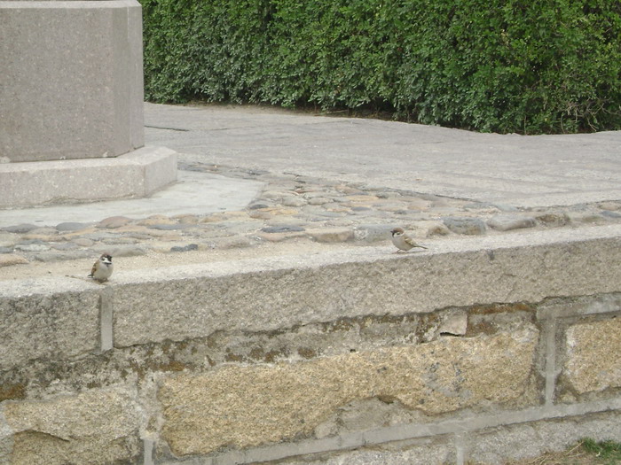 DSC01453.jpg