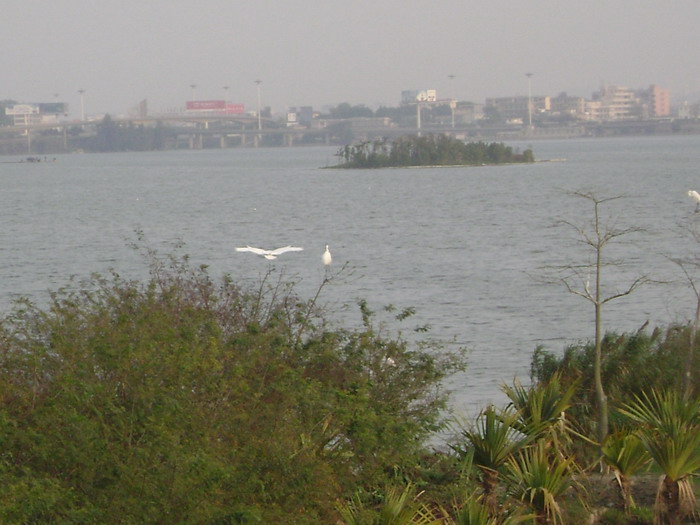 DSC01621.jpg