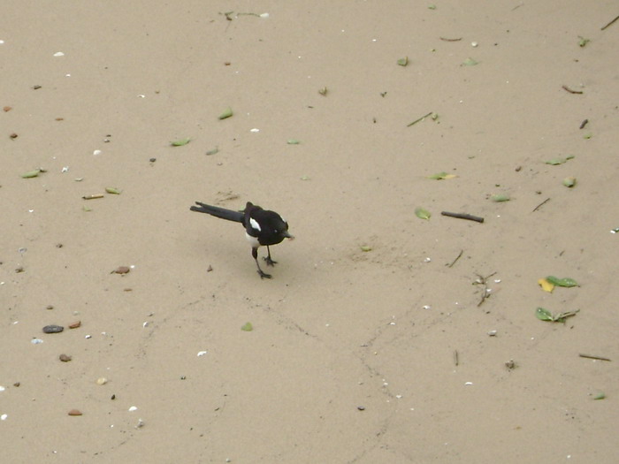 DSC01298.jpg