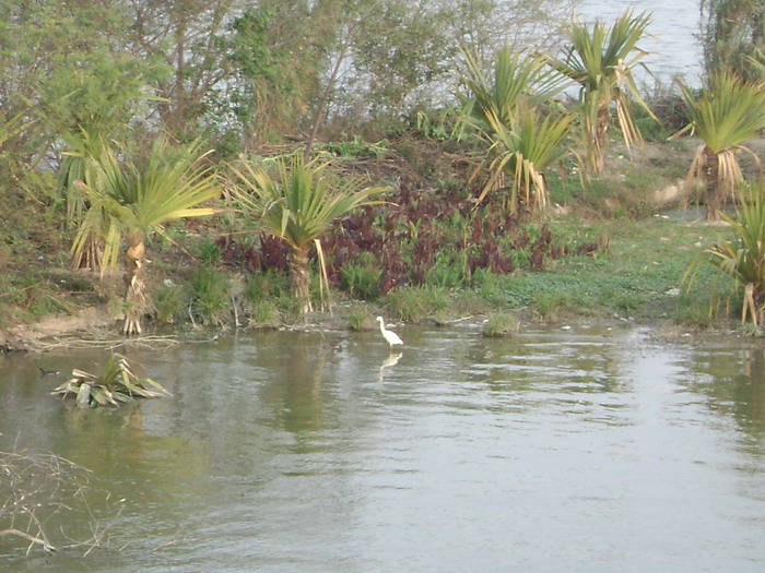 DSC01624.jpg