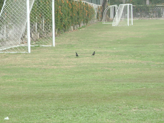 DSC01303.jpg