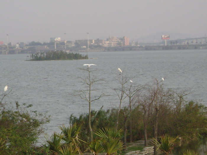 DSC01622.jpg