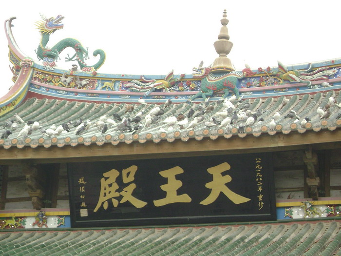DSC01474.jpg