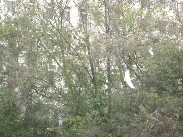 DSC01687.jpg