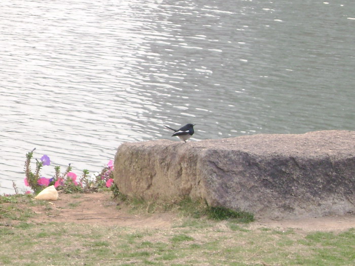 DSC01533.jpg