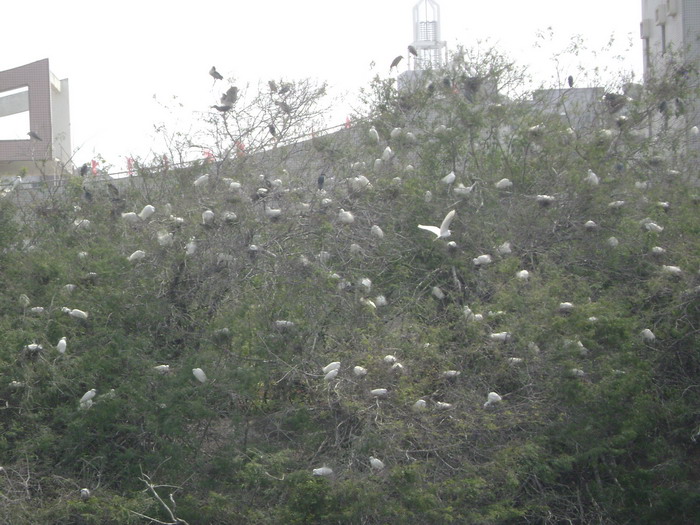 DSC01682.jpg