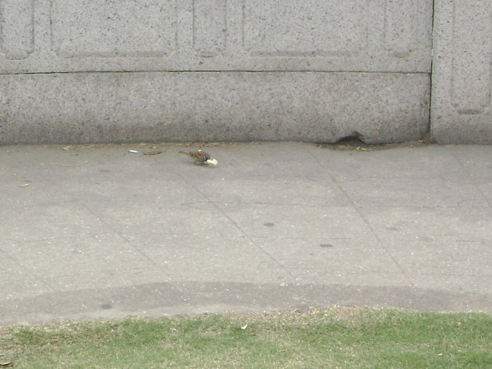 DSC01450.jpg