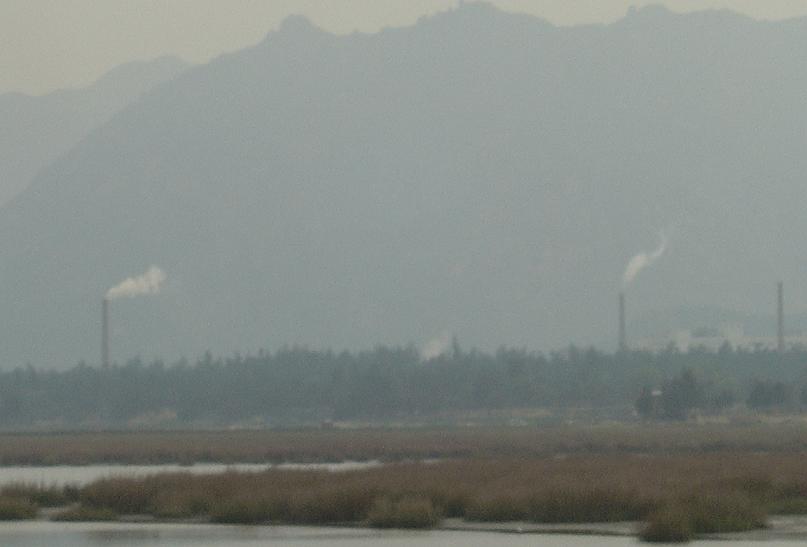 DSC06859.JPG