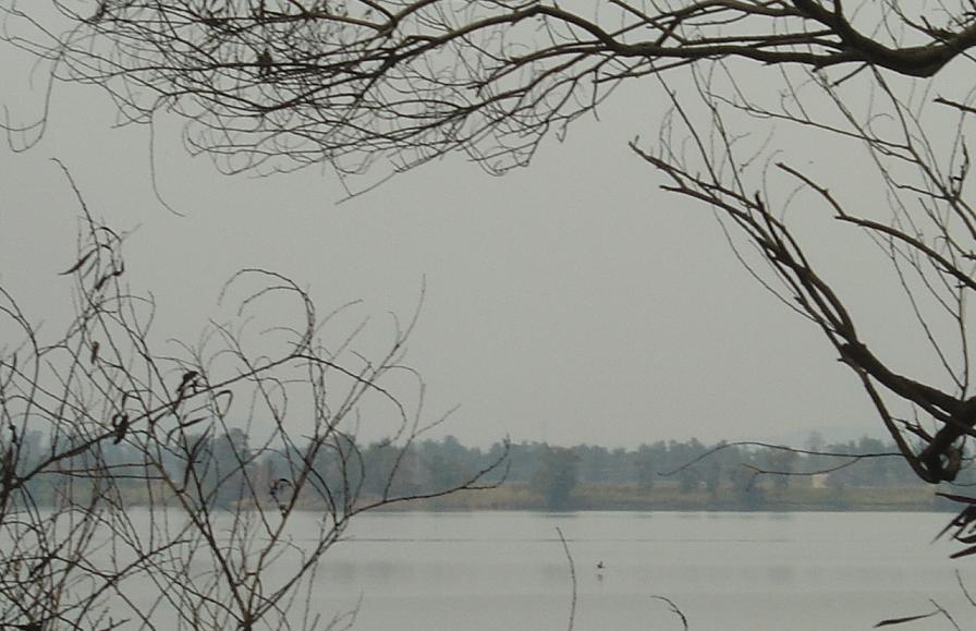 DSC06868.JPG