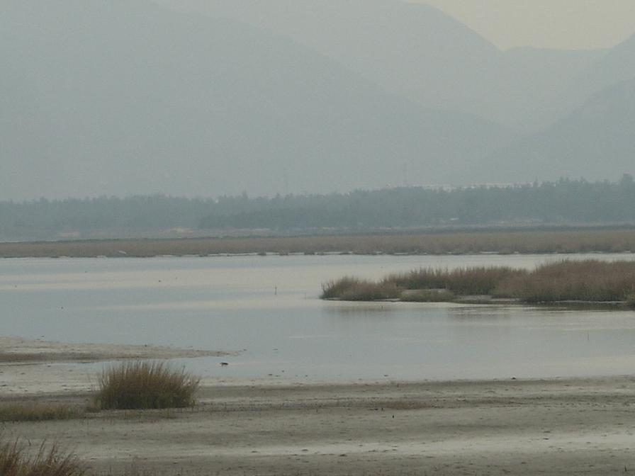 DSC06870.JPG