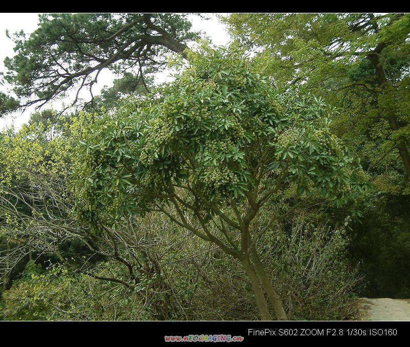 DSCF0123.jpg