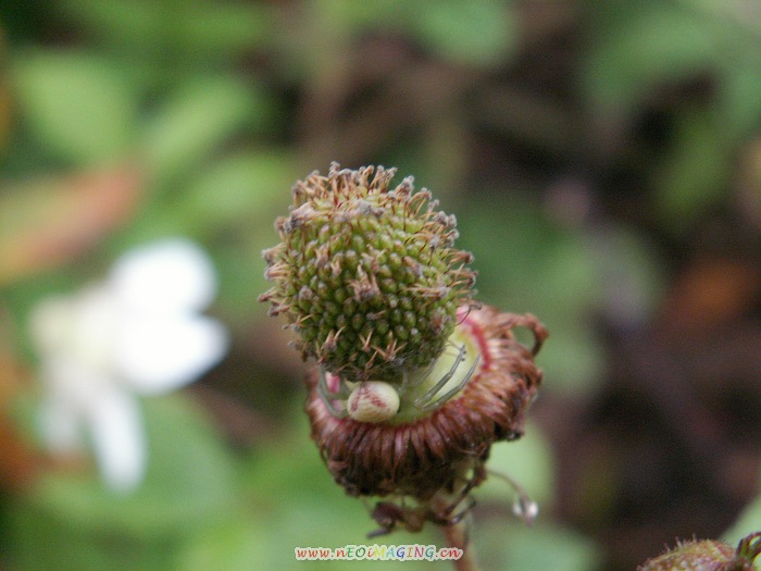 PICT0781.JPG