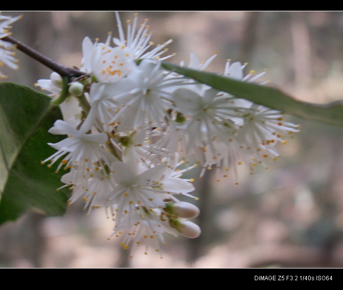 PICT0365.JPG