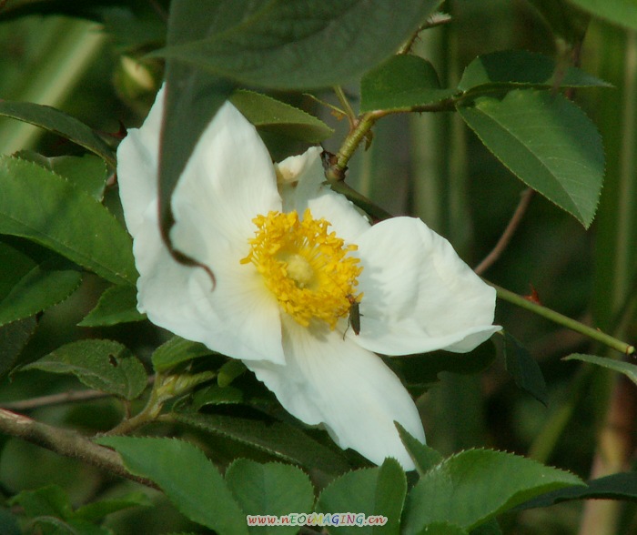 PICT0883.JPG