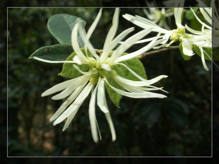 PICT0880.JPG