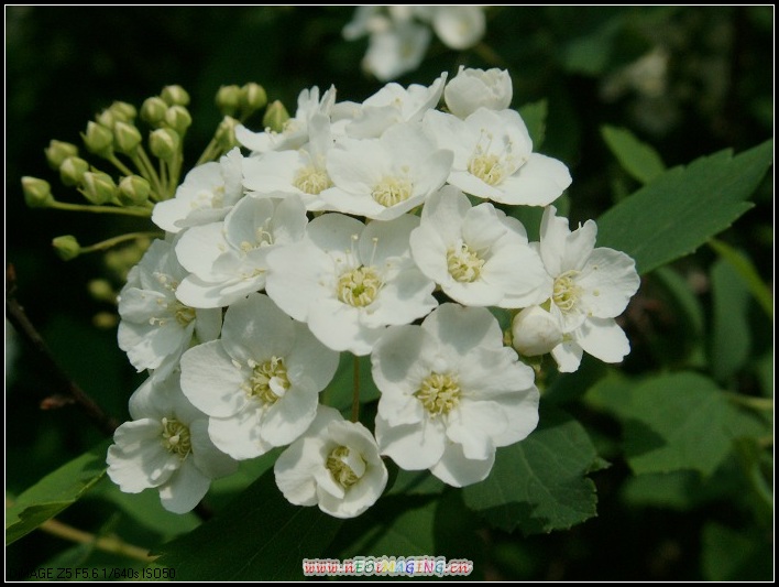 PICT0928.JPG