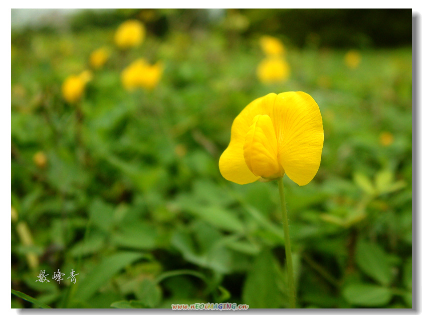 DSCF0341.jpg
