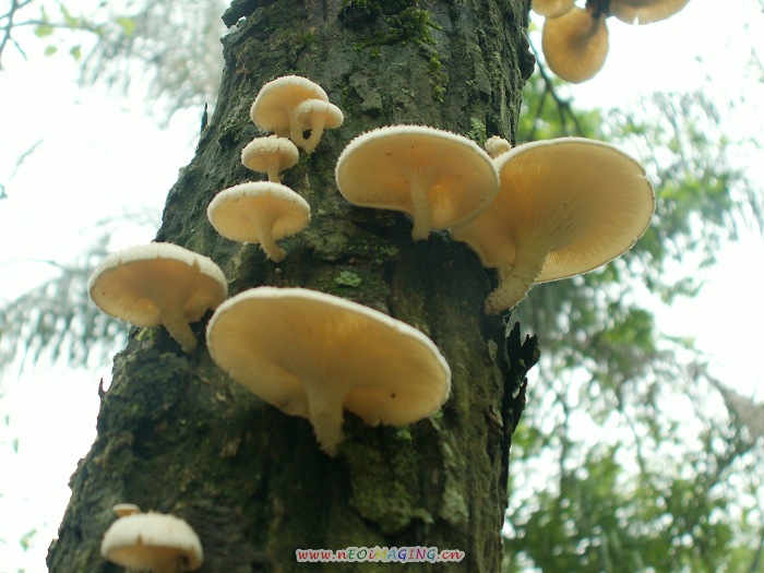 PICT0951.JPG