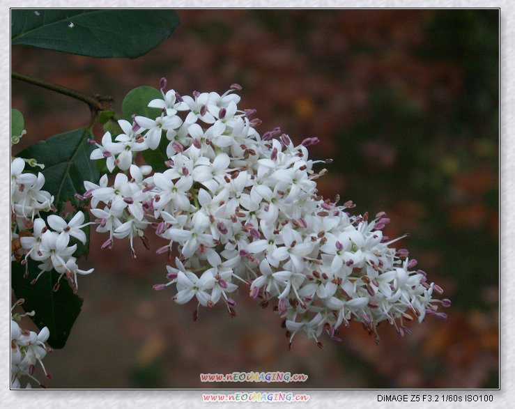 PICT0957.JPG